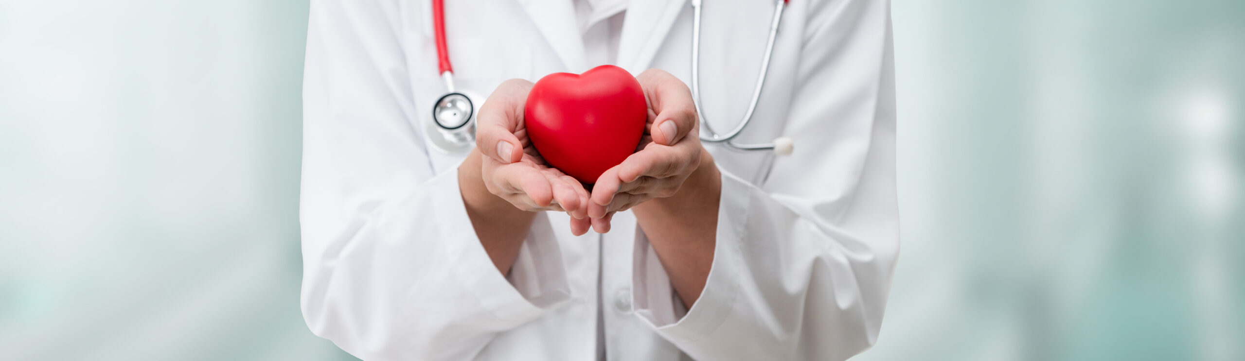 Doctor holding a red heart at hospital office. Medical health care and doctor staff service concept.